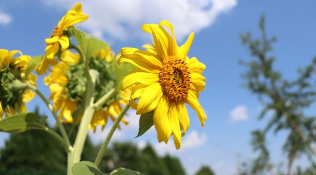 陜西省西安市壽陽(yáng)山墓園自然生態(tài)陵園價(jià)格