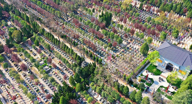 西安高橋墓園大巴看墓 選墓