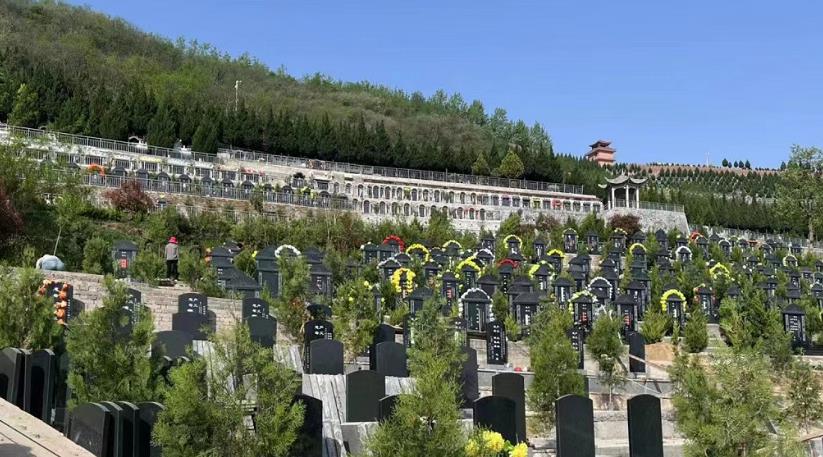 西安高橋圖片風(fēng)景款活動(dòng)價(jià)需要看選加微信定號(hào)